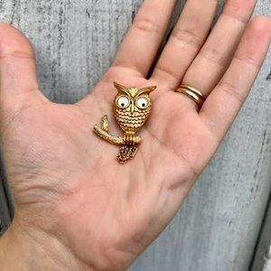Avon Vintage Gold Tone Googly Eye With Tassel Owl Brooch Pin